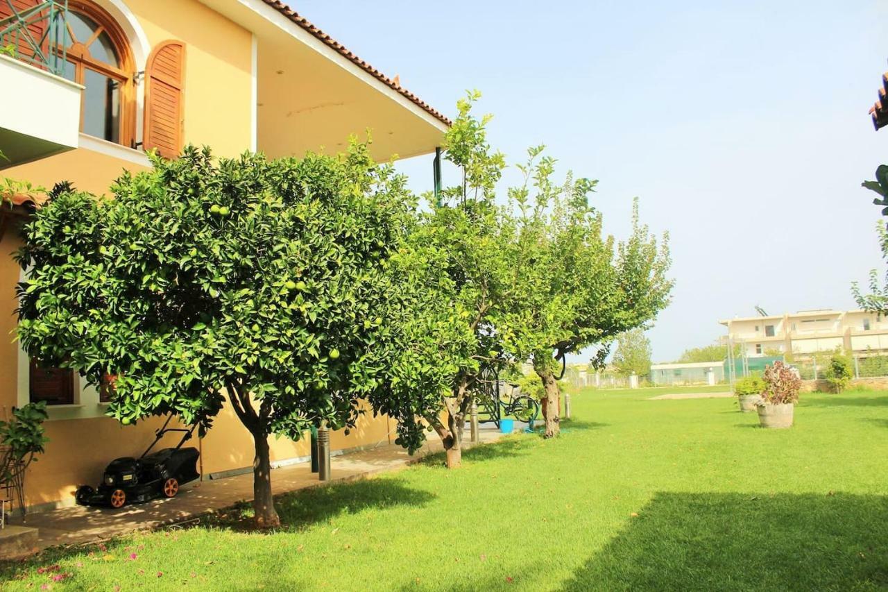 Athens Countryside Resort With Pool Pallíni Extérieur photo